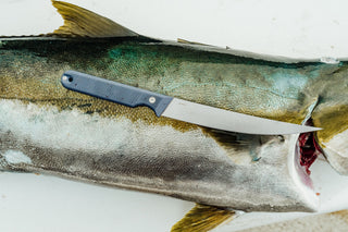 The Folsom Pro fillet knife on top of a fresh catch.
