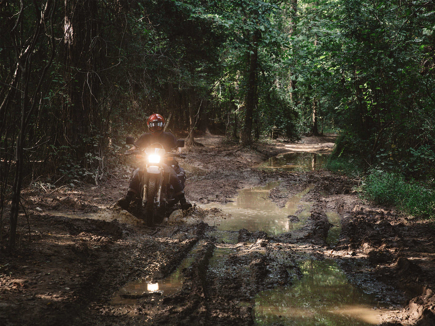 A motorcyclist riding through a muddy road in the wilderness.