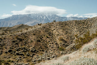 Desert hills with snowcapped mountains in the background.