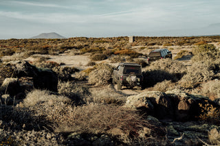 Two trucks headed into the Baja California desert.