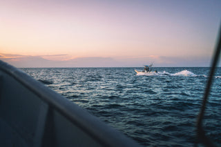A fishing boat motoring off the coast of Baja, Mexico.